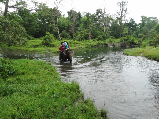 Elephant safari 2; Hollong