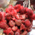 Add all ingredients to a blender and puree till combined. Add all ingredients to a blender and puree till combined.