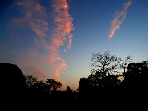 Evening at Hollong 2 : Memories of Hollong
