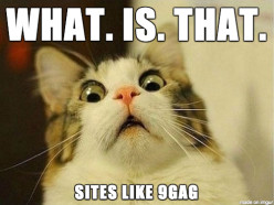 16 Best 9gag Alternatives
