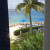 Palm Tree and view of ocean Palm Tree and view of ocean