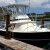 Fishing boat bringing fresh catch of the day Fishing boat bringing fresh catch of the day