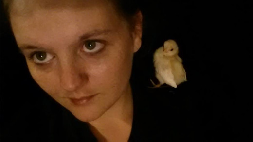Popcorn was my favorite. He almost died, but I saved him. He was also the smallest. He doesn't walk that well, he stumbles a lot and the others pick on him because he is a "Disabled Chick."