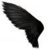 TheBirdman profile image