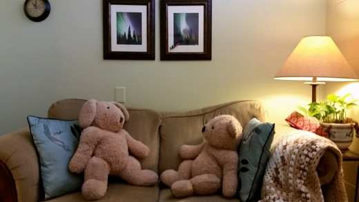 This is what the therapist sees.  In this case, it is Mr. and Mrs. Bear-Rabbit trying to convince the therapist who's right!