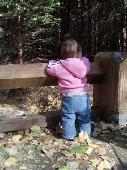 I figured if my little niece had the courage to contemplate going over the fence, certainly, I could actually do it!