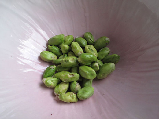 Raw (fresh) pistachios without skins