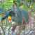 One of the birds we met on our visit. One of the birds we met on our visit.