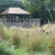Notice the large horns of this well hidden animal? Notice the large horns of this well hidden animal?