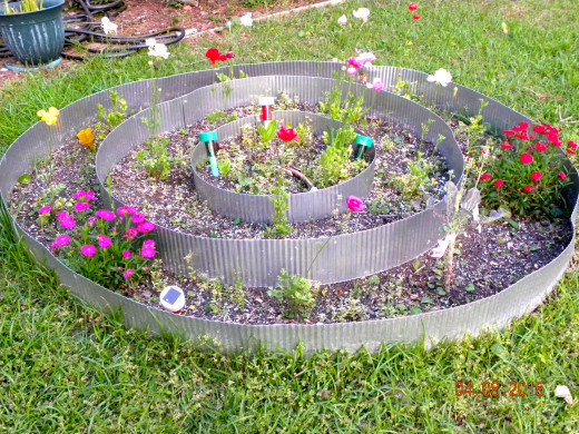 This planter has flowers.  Also, potatoes, and lettuce are planted.