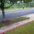 Half Marathon Runners (8 of many) Half Marathon Runners (8 of many)