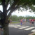 Marine Corps Half (40 of many) Marine Corps Half (40 of many)