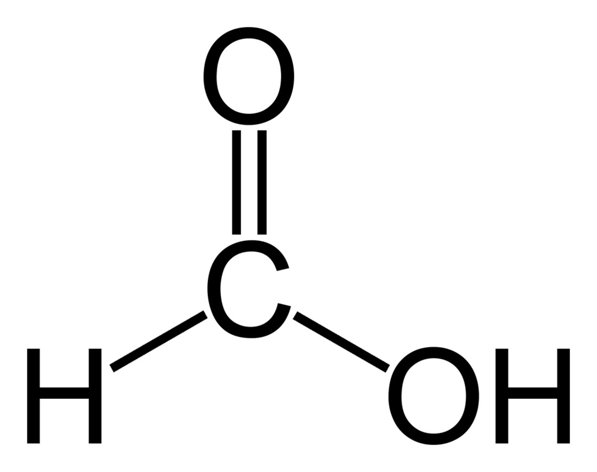 Image result for methanoic acid