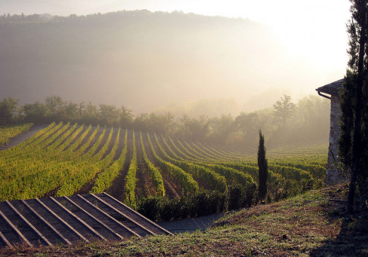 Tuscany is a beautiful region boasting delicious and healthy food options. 
