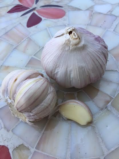 Garlic from my kitchen.