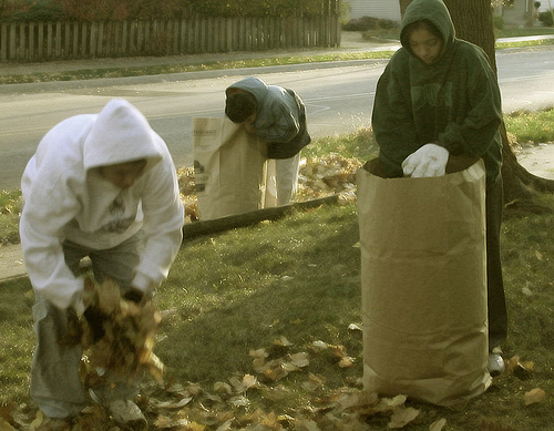 This will be great for the compost...