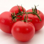 cookingvideos profile image