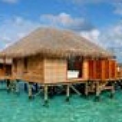 homeowner_ideas profile image
