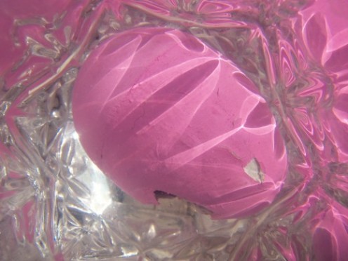 Hatching in a glass of water 