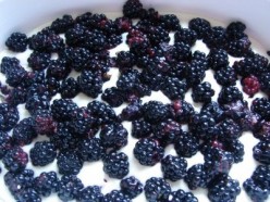 Celtic Cooking /Blackberry Pudding