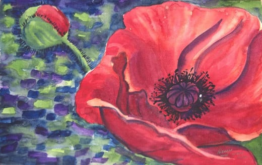 Watercolor Oriental Poppy