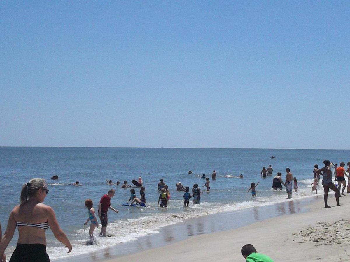 The beach is never too busy at Assateague Island.