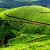 Striking View of Khangchendzonga Sikkim Striking View of Khangchendzonga Sikkim