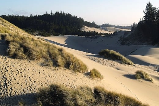 One of the sand dunes parks on the coast.