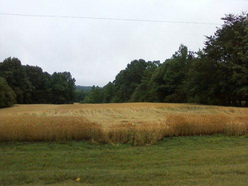 Actual photographs of the North Carolina crop circle taken shortly after it was discovered on June 3rd 2015.