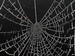 Mystery Revealed: What is the Dark Web?