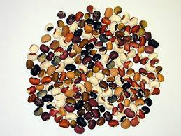                  various cowpea  beans