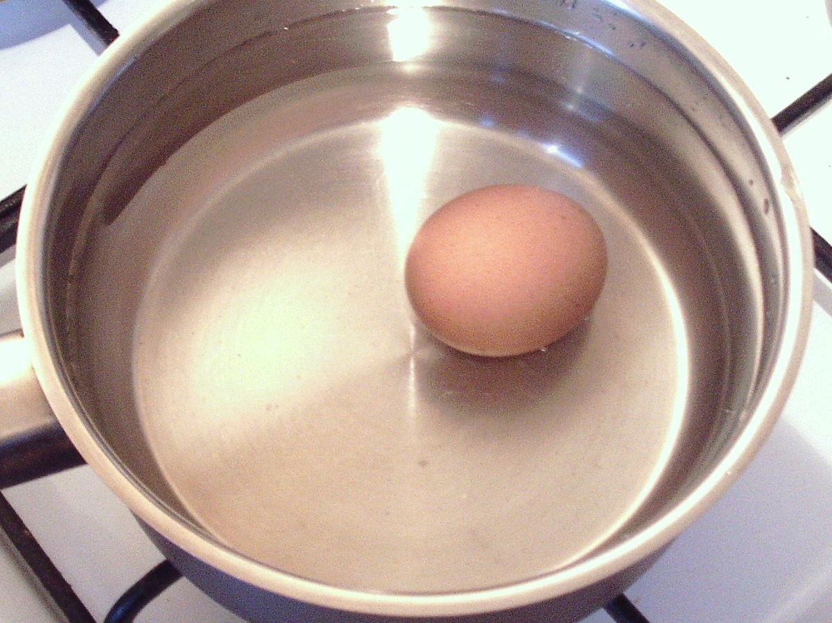 Egg is put on to boil