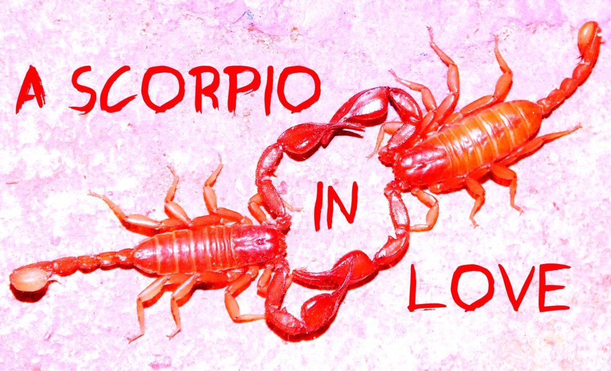 Dating en skorpion gift man