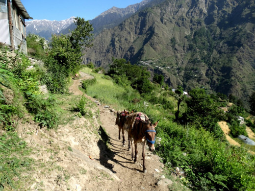 The trek route from Udgam to Devgram  2