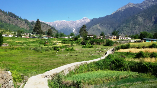 The trek route from Udgam to Devgram 8