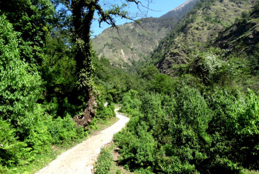 The trail from Devgram to Kalpeswar 1