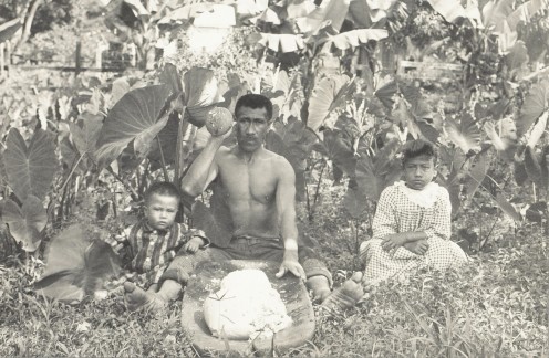 Hawai'i and Native Hawaiians - What You May Not Know Hawai'i and Native Hawaiians - What You May Not Know