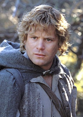 Sean Astin as Sam