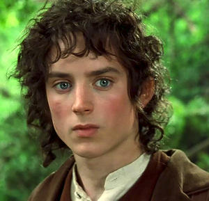 Elijah Wood as Frodo