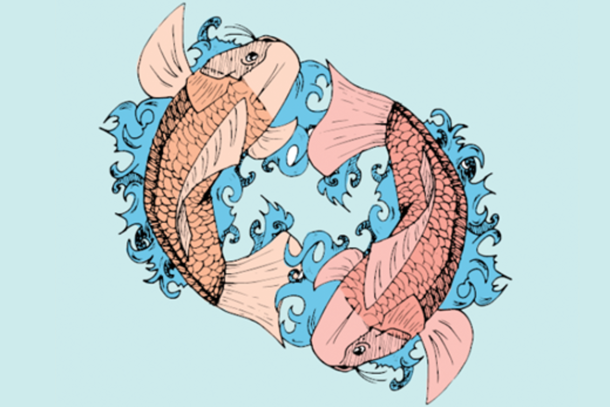 Koi Fish Color Chart