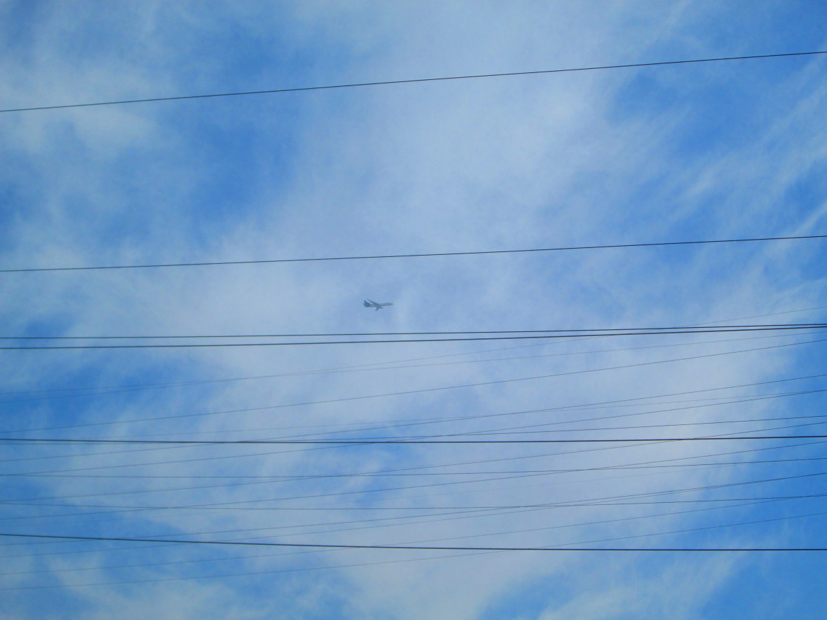A plane is flying overhead.