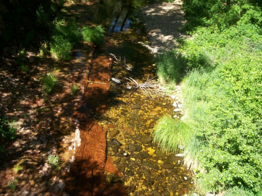 Another view of the creek.
