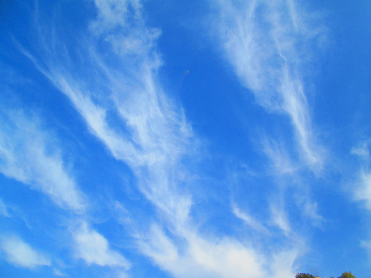 Plane flying through the blue sky.
