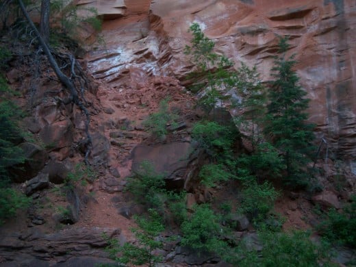 A view of the side of the canyon.