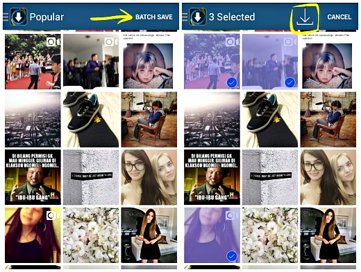 Click Batch Save option in Instagrab and select all the videos followed by the download option on the top right corner