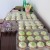 A tasteful display of "Sybil's cupcakes which were absolutely delicious included a bride and groom specially designed cupcakes. 