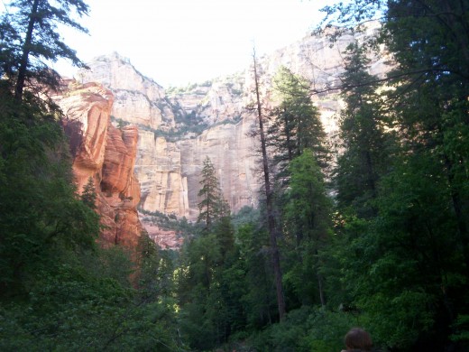 A clear view of the canyon, trees, and sky.