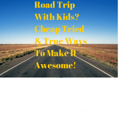 Family Road Trip Ideas When Driving With Kids!