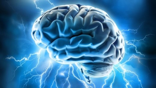 The Human Brain - the celebrated instrument of progress.