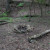 a makeshift campsite we saw off the trail. No one was using it this time, and we considered stopping but it was so early in the hike. a makeshift campsite we saw off the trail. No one was using it this time, and we considered stopping but it was so early in the hike.